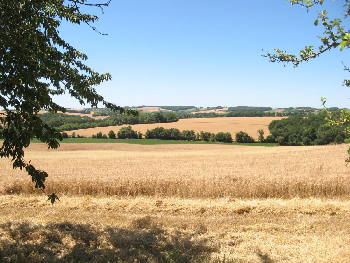 הוילה Saint-Puy Le Petit Bergeret En Gascogne מראה חיצוני תמונה