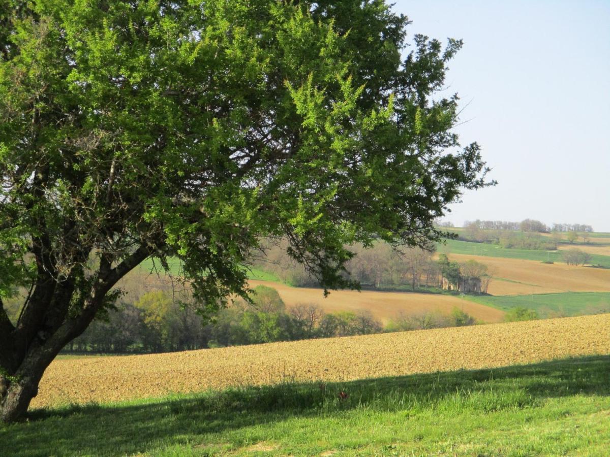 הוילה Saint-Puy Le Petit Bergeret En Gascogne מראה חיצוני תמונה