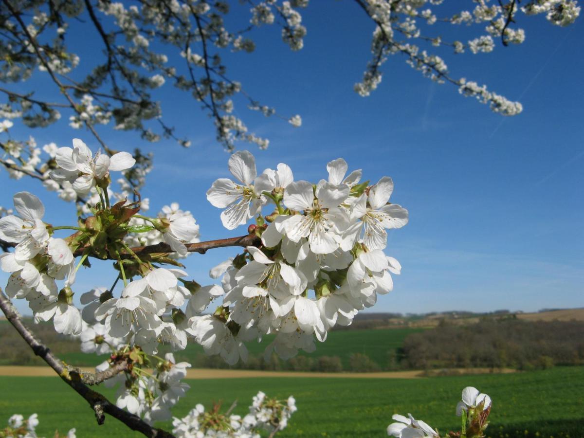 הוילה Saint-Puy Le Petit Bergeret En Gascogne מראה חיצוני תמונה