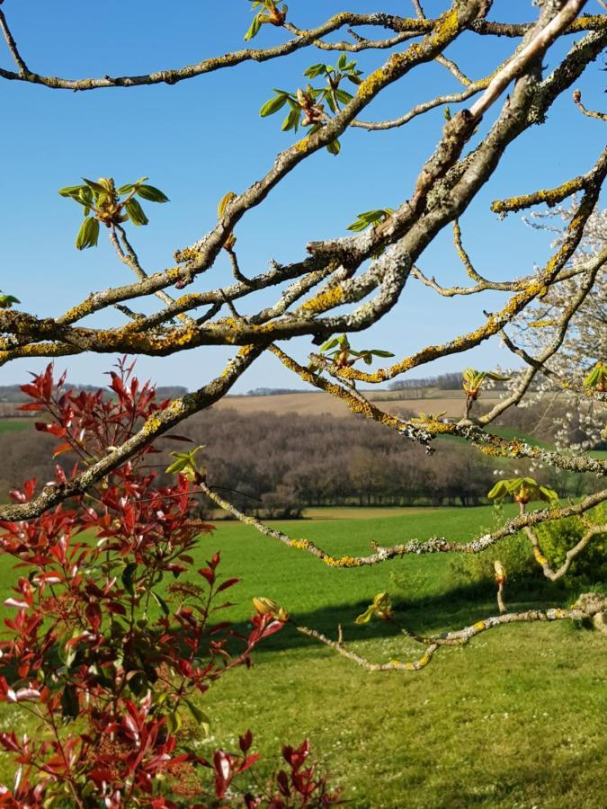 הוילה Saint-Puy Le Petit Bergeret En Gascogne מראה חיצוני תמונה